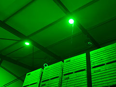 Technical LED developments